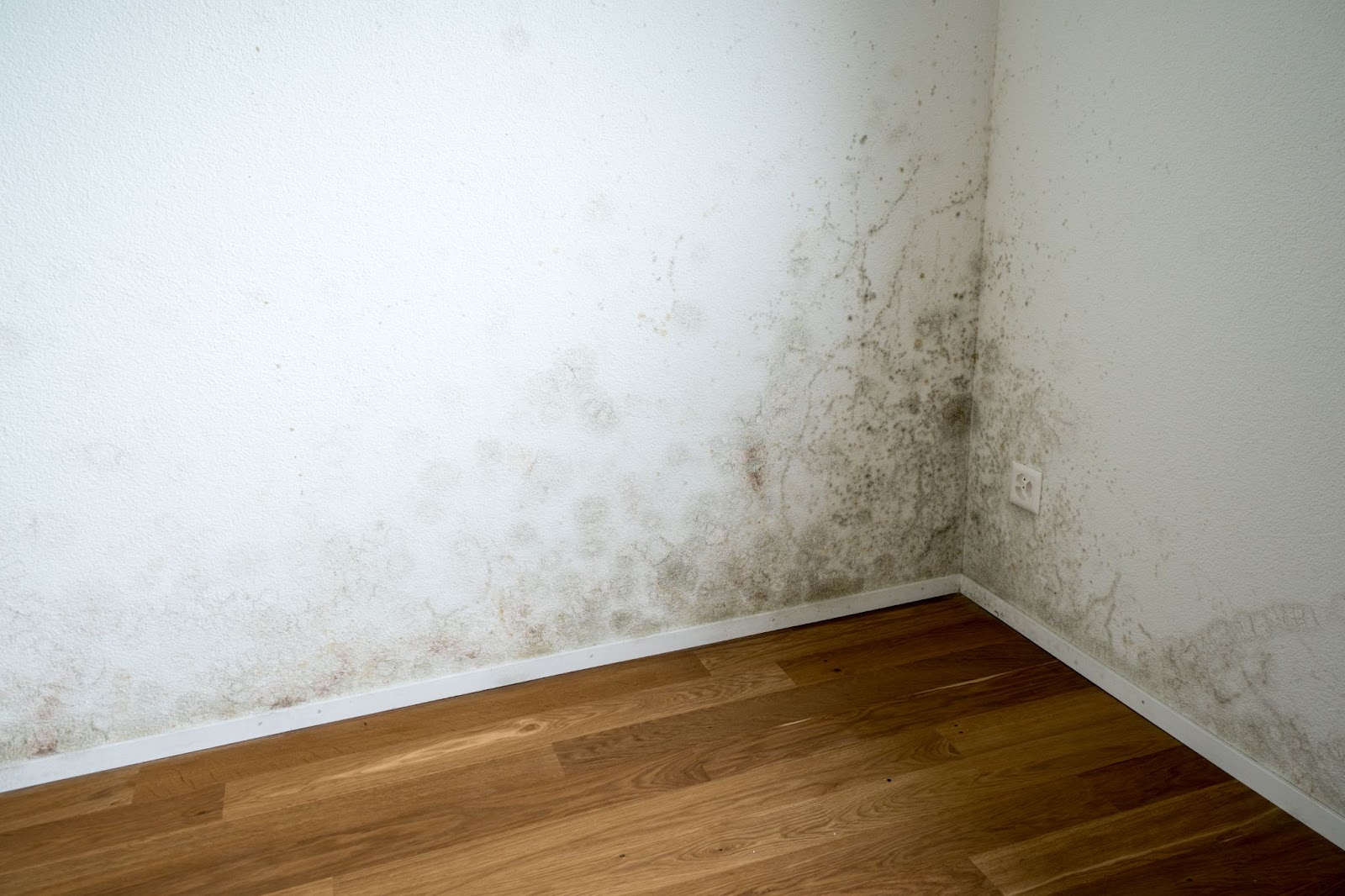Learn these top mold remediation tips for helping you with water damage repair. Know when to call Firewater Damage Restoration, the premier Rockwall Texas restoration experts. With our Professional restoration team, let us help you with clearing your Heath home from mold. Mold removal in heath, Rockwall mold removal team, water damage restoration services near Rockwall, water restoration in Rockwall, Fire damage restoration in Rockwall, flood restoration in Texas, Rockwall flood restoration, Heath flood repair.